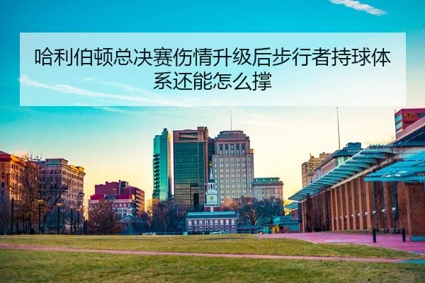ha-li-bo-dun-zong-jue-sai-shang-qing-sheng-ji-hou-bu-xing-zhe-chi-qiu-ti-xi-hai-neng-zen-me-cheng-2-325.jpg