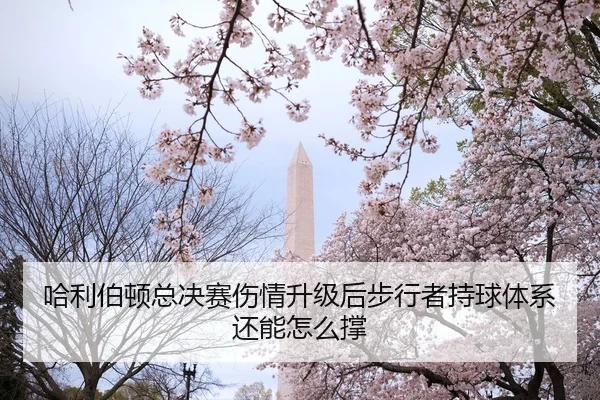哈利伯顿总决赛伤情升级后步行者持球体系还能怎么撑