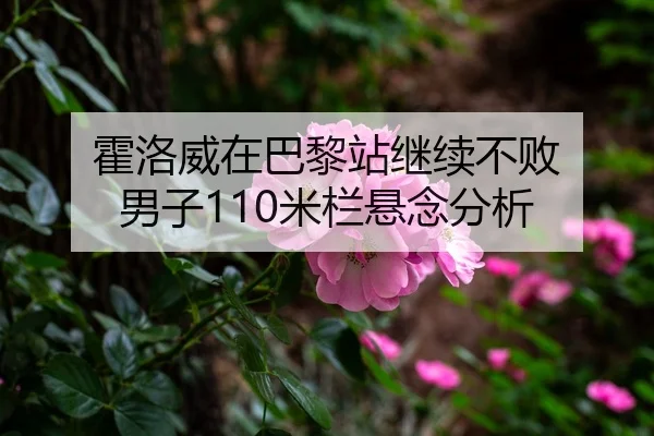 霍洛威在巴黎站继续不败 男子110米栏悬念分析