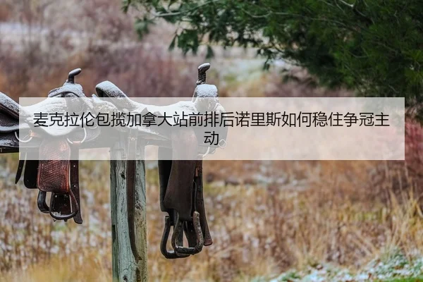 mai-ke-la-lun-bao-lan-jia-na-da-zhan-qian-pai-hou-nuo-li-si-ru-he-wen-zhu-zheng-guan-zhu-dong-2-137.jpg